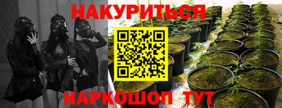 прущие крисы Комсомольск-на-Амуре