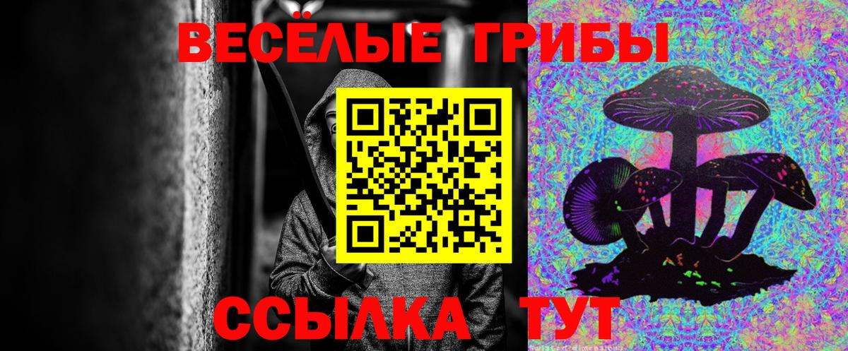 Киселёвск  Галлюциногенные грибы Magic Shrooms  Вход с VPN 