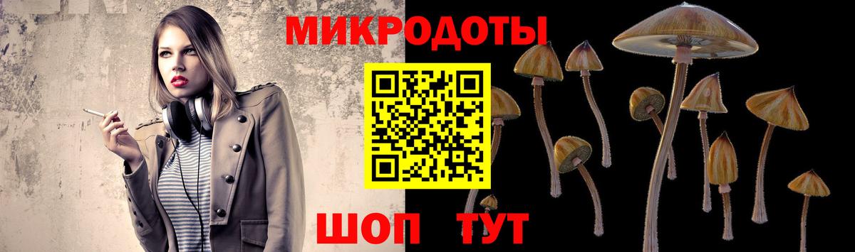 Галлюциногенные грибы ЛСД Киселёвск
