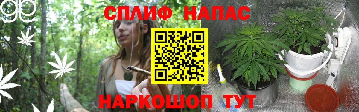 Марихуана Amnesia Киселёвск